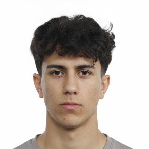 آرش مرتضوی