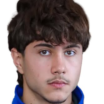 پرهام حسنی