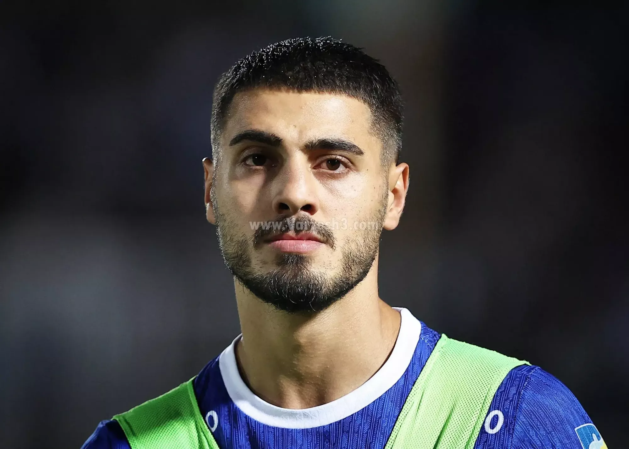 امید گل آبیها در آسمان عراق (عکس)